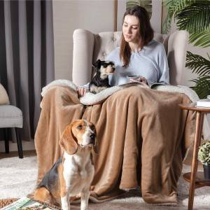 Manufacturer of China Hot Sell 2020 Customized New Solid Thermal Flannel Fleece Throw Blanket