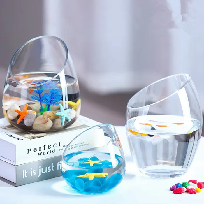 mini oblique mouth thickened transparent Glass round goldfish tank vase for office desktop (1)