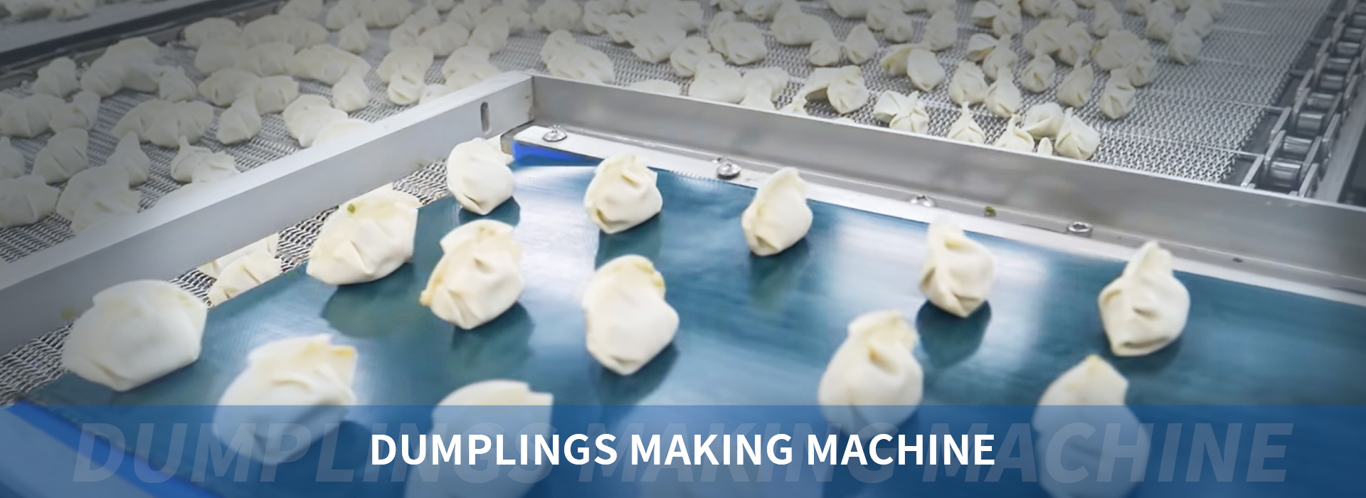 Dumplings Production Solutions For Dumpling Factory 