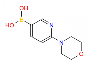 6-(4-morpholinyl)-3-pyridinylboronic acid