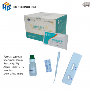 Kit de proba rápida de anticorpos contra o virus da peste porcina africana (ASFV).