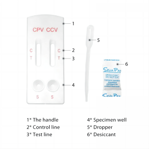 Kit de test combo CPV et CCV canin