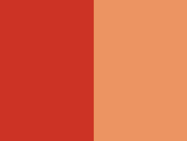 Wholesale Pigment Orange 34 - Hermcol® Orange F2G (Pigment Orange 34) – Hermeta