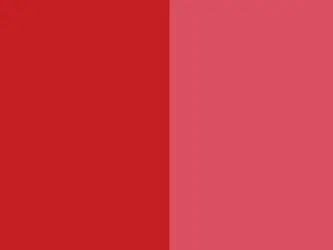 Pigment Red