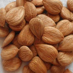 factory low price Fructus Zizyphi Jujubae - almond – HEX