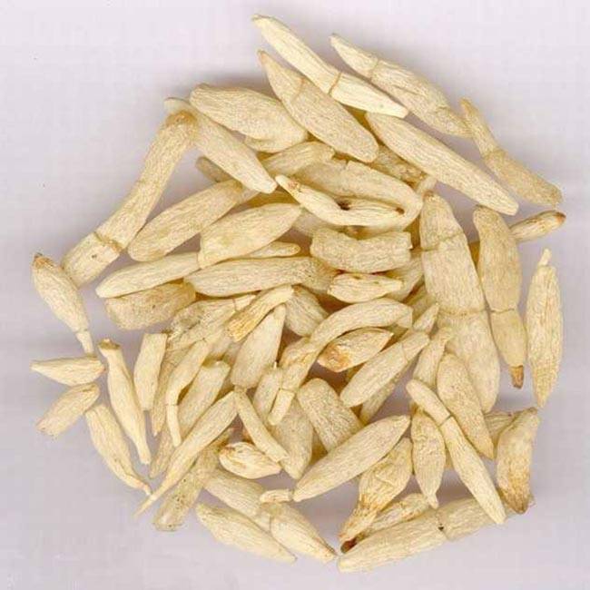Super Lowest Price Astragalus Root - Ophiopogon – HEX