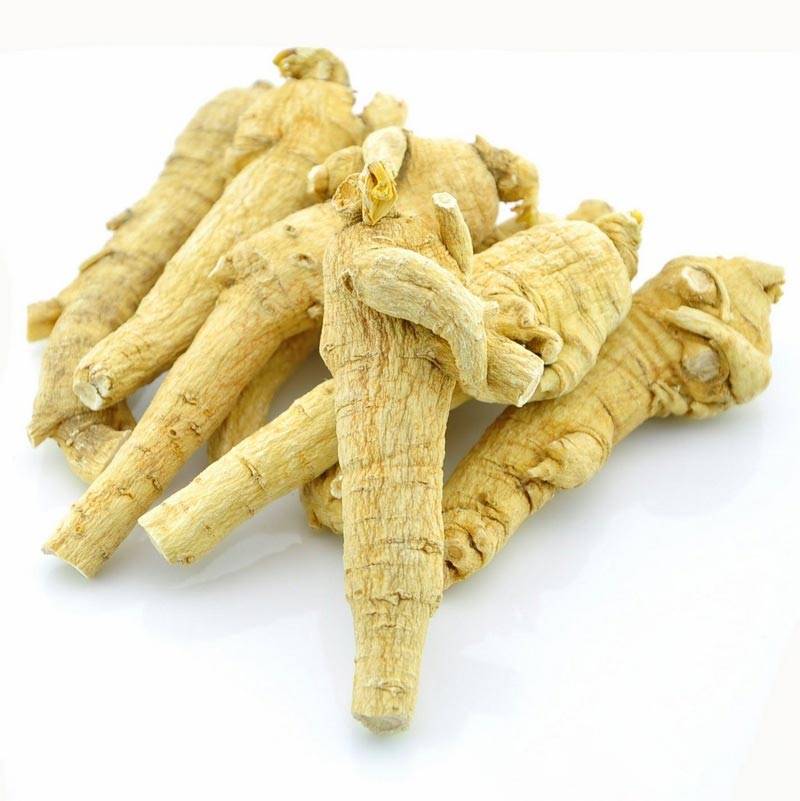 Ginseng Featured Image