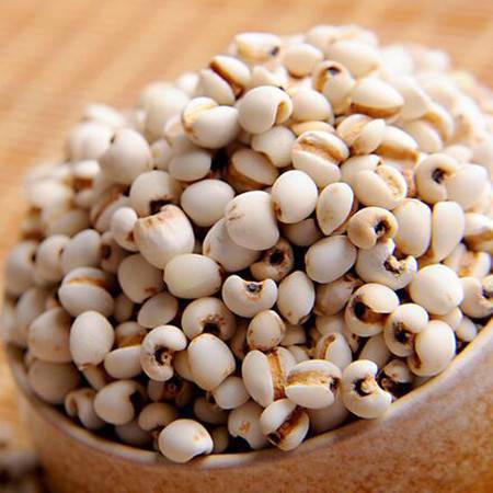 Semen Coicis - Barley seed – HEX