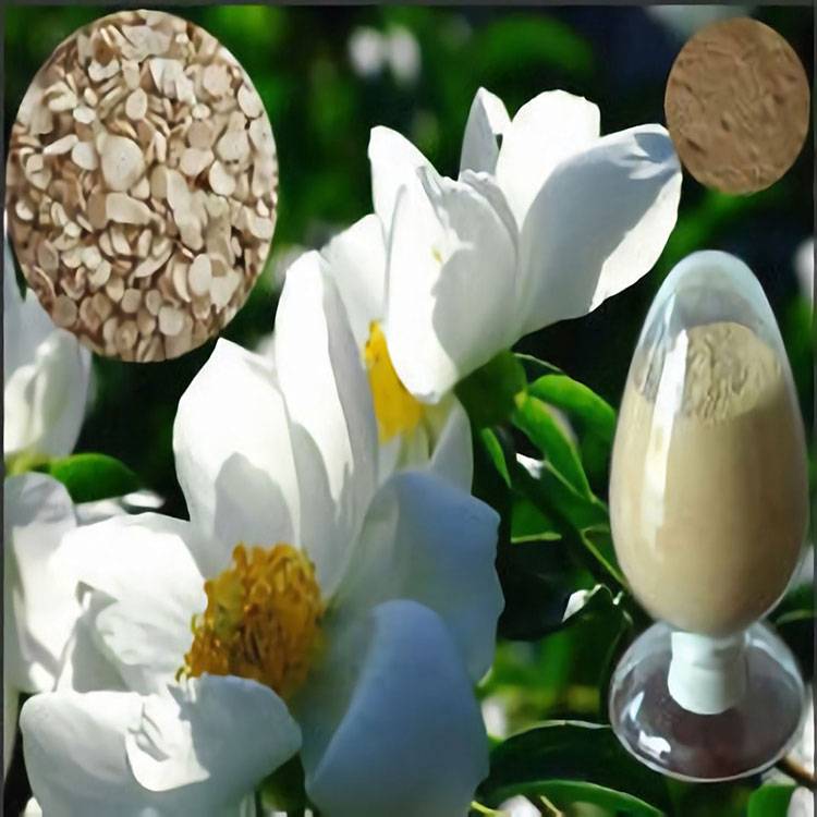 High Quality Red Clover Extract Powder - Extract of Radix Paeoniae Alba – HEX