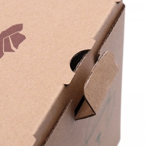 Caja de empaquetado reciclada de la cartulina acanalada de la caja de papel de Kraft de la impresión en color