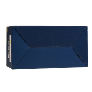 Deluxe Printing Corrugated Tuck Top Paper Box ການຫຸ້ມຫໍ່ຜ້າອ້ອມເດັກນ້ອຍ