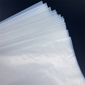 Customizable Biodegradable Flat Bag
