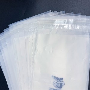 Manufacturer for China Custom Logo Clear Frosted Zip Lock Plastic Underwear Zipper Swimming Clothes Packaging Bag