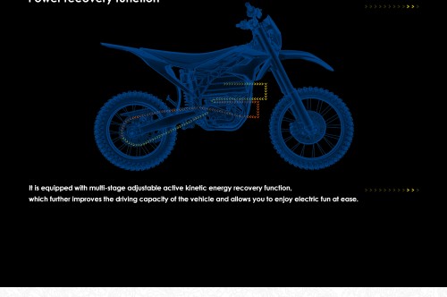2023 104V 22500w 55Ah Mid Drive Powerful Electric Dirt Bike 520NM Storm Bee E Dirtbike Powerful Off Road Electric Motorcycle