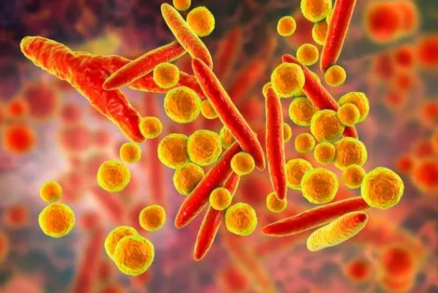 Como lidar com a infecção por Mycoplasma pneumoniae em adultos?