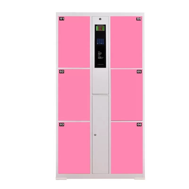 存包柜 6 doors safe locker QM-ZS-6 (3)