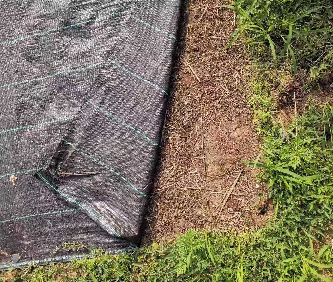 Prix ​​compétitif pour le tapis de contrôle des mauvaises herbes tissé en PE /couvre-sol en plastique/ barrière contre les mauvaises herbes en plastique noir