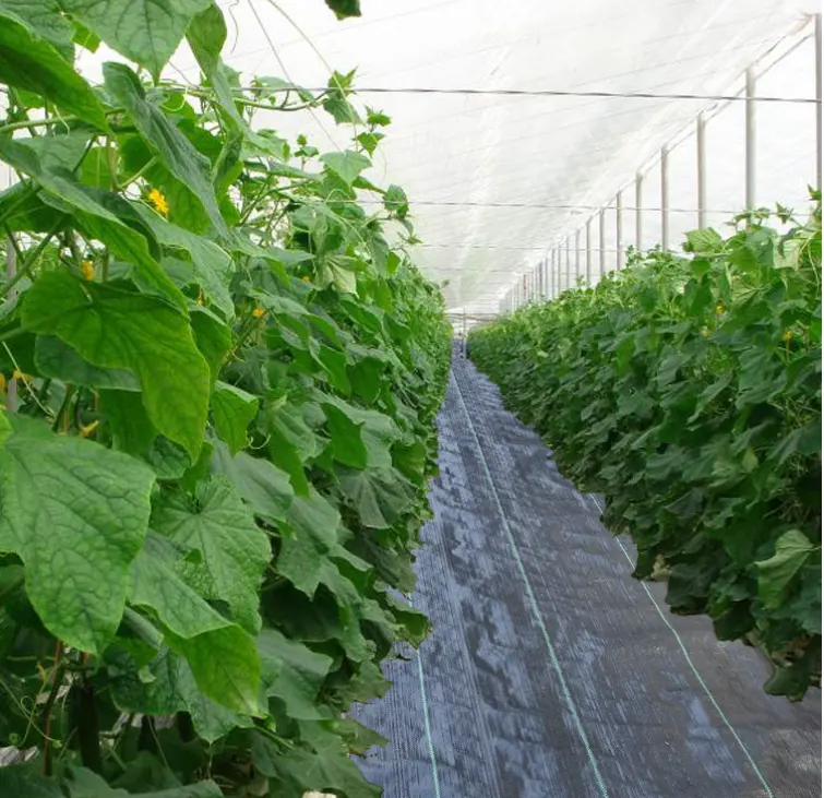 Стандардна производствена ткаена анти UV PP/PE Agri Ground Cover 100GSM China Garden Weed Barrier на големо