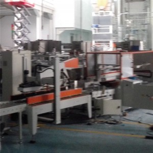 Factory directly Cylinder Noodles Packaging Line - Carton packing machine – Hicoca
