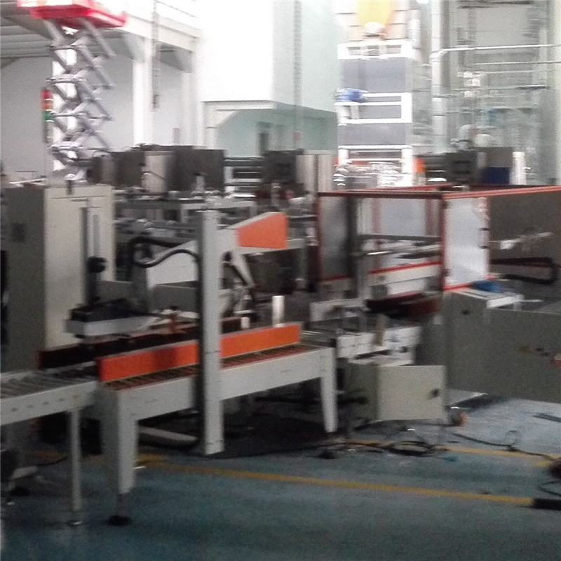 Trending Products Kelp Noodles Packaging Line - Carton packing machine – Hicoca detail pictures