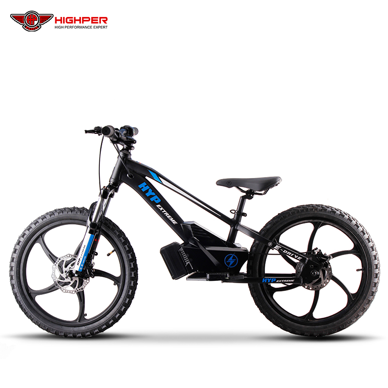 20″ Electric Balance Bike with Hub Motor