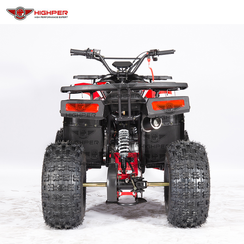 Un alto rendimiento de gasolina de 4 ruedas Mini Quad ATV 50 cc - China Quad  y ATV Quad ATV precio