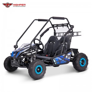Electric Go Kart for Gift with 1200w Motor