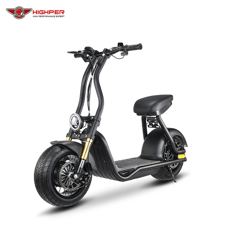 2 Big Wheel 1000w 48v Adult Electric Scooter with Seat