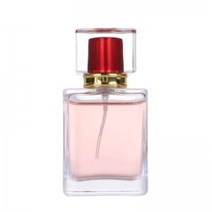 Wholesale Empty Luxury 30ml 50ml 100ml Perfume Bottle with spray pump
