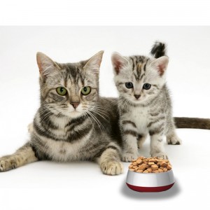OEM/ODM Pet Nutrition Supplement Multivitamin For Cat