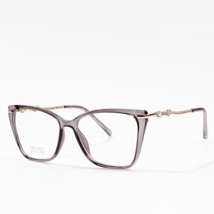 Hot trend eyewear TR90 glasses frames