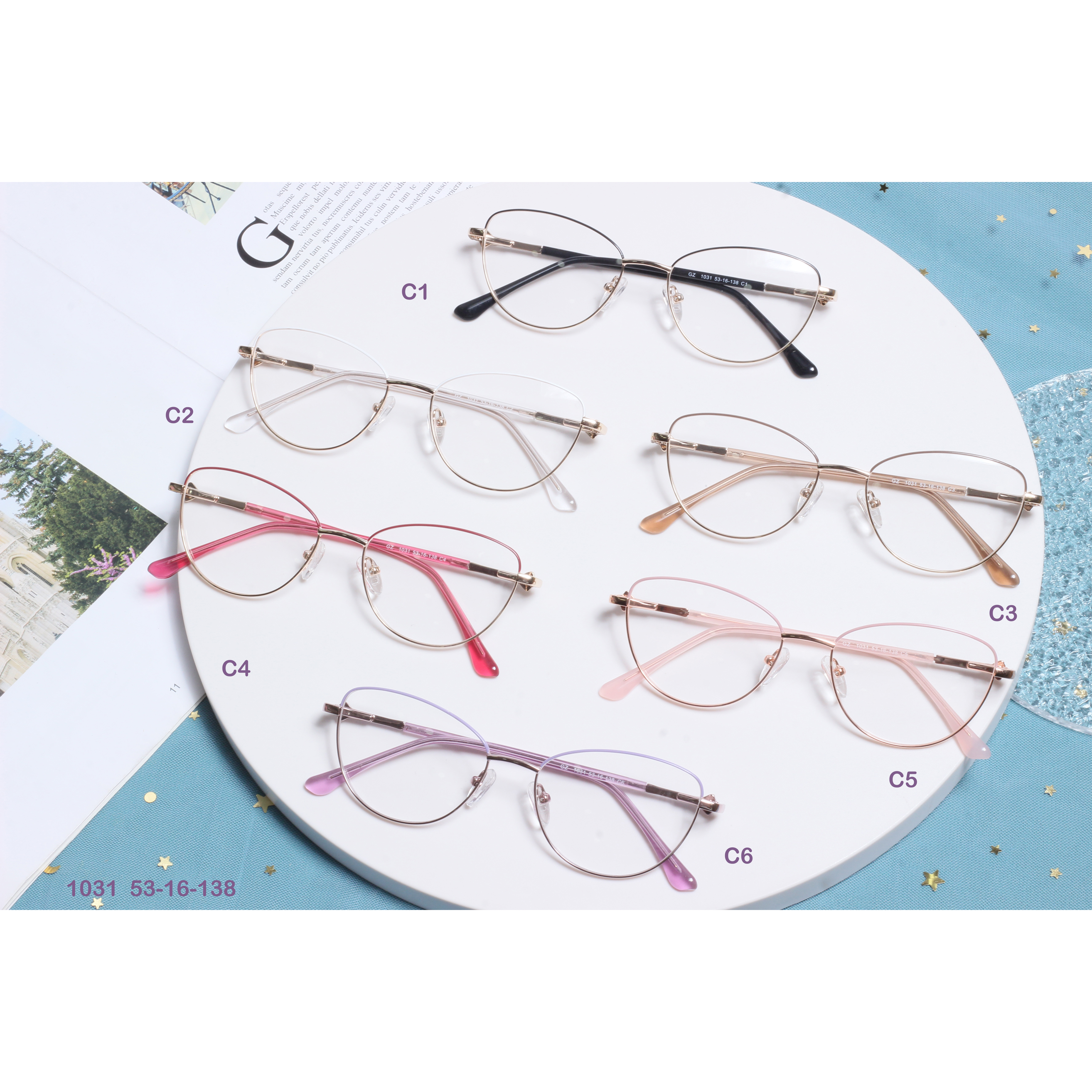 Metal Spring Hinge Cat Eye Glasses Frames (2)