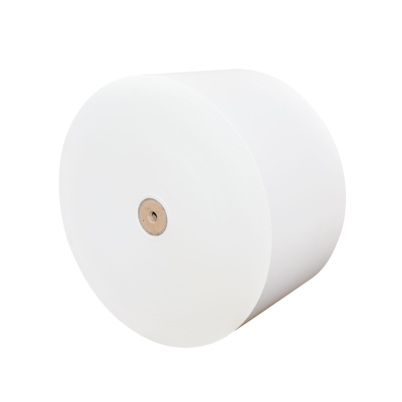 PE Coated Paper Roll Single and Double Side PE Coated