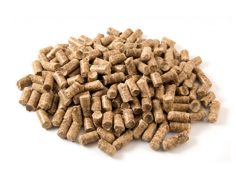 Quae sunt progressionis spes biomass globulo cibus industriae?