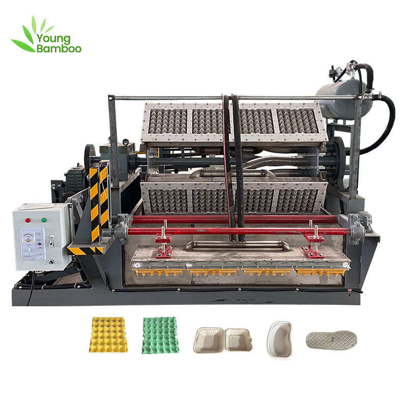 Young Bamboo paper egg tray making machine automatic egg carton box forming machine