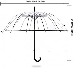 Transparent stick umbrella