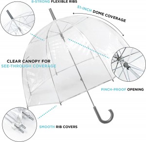 Umbrella Bubble Transparent