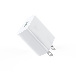 US Plug M01-M 2.1A USB Charger Lightning  Suit-Classic Series