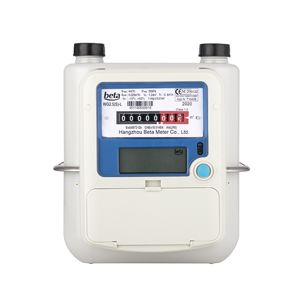 WGS-N NB-IoT Wireless Smart Gas Meter (1)