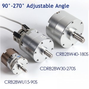 CRB2BW10/15/20/30/40-90S/180S/270S Vane Type Rotary Cylinder