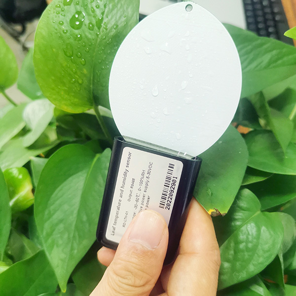 Leaf Humidity And Temperature Sensor