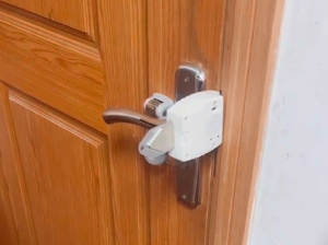 Portable Door Lock with AlarmPortable Door Lock with Alarm,Smart Door Lock with Alarm,Home Security Door Lock,ZC135