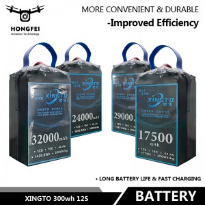 Xingto 300wh 12s Intelligent Batteries for Drones