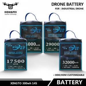 Xingto 300wh 14s Intelligent Batteries for Drones