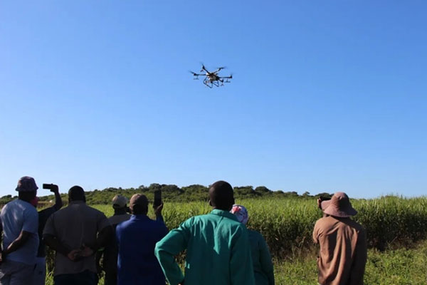 Agricultural drones help plant sugarcane in South Africa