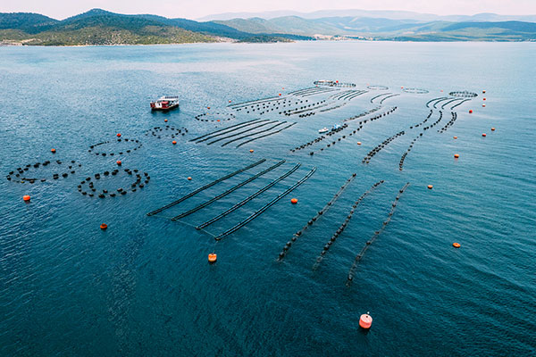Drones are Transforming Aquaculture