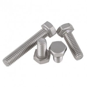Stainless Steel SUS 304 SUS 316 DIN933 Hex Head Bolt A2-70 A4-80