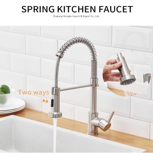Kitchen faucet with spring stainless steel