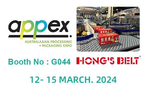 HONG'S BELT は、APPEX 2024 : パッケージングと加工の革新へのご参加をご案内します