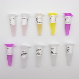 Hepatitis B Virus Nucleic Acid Detection Kit (Fluorescence PCR)